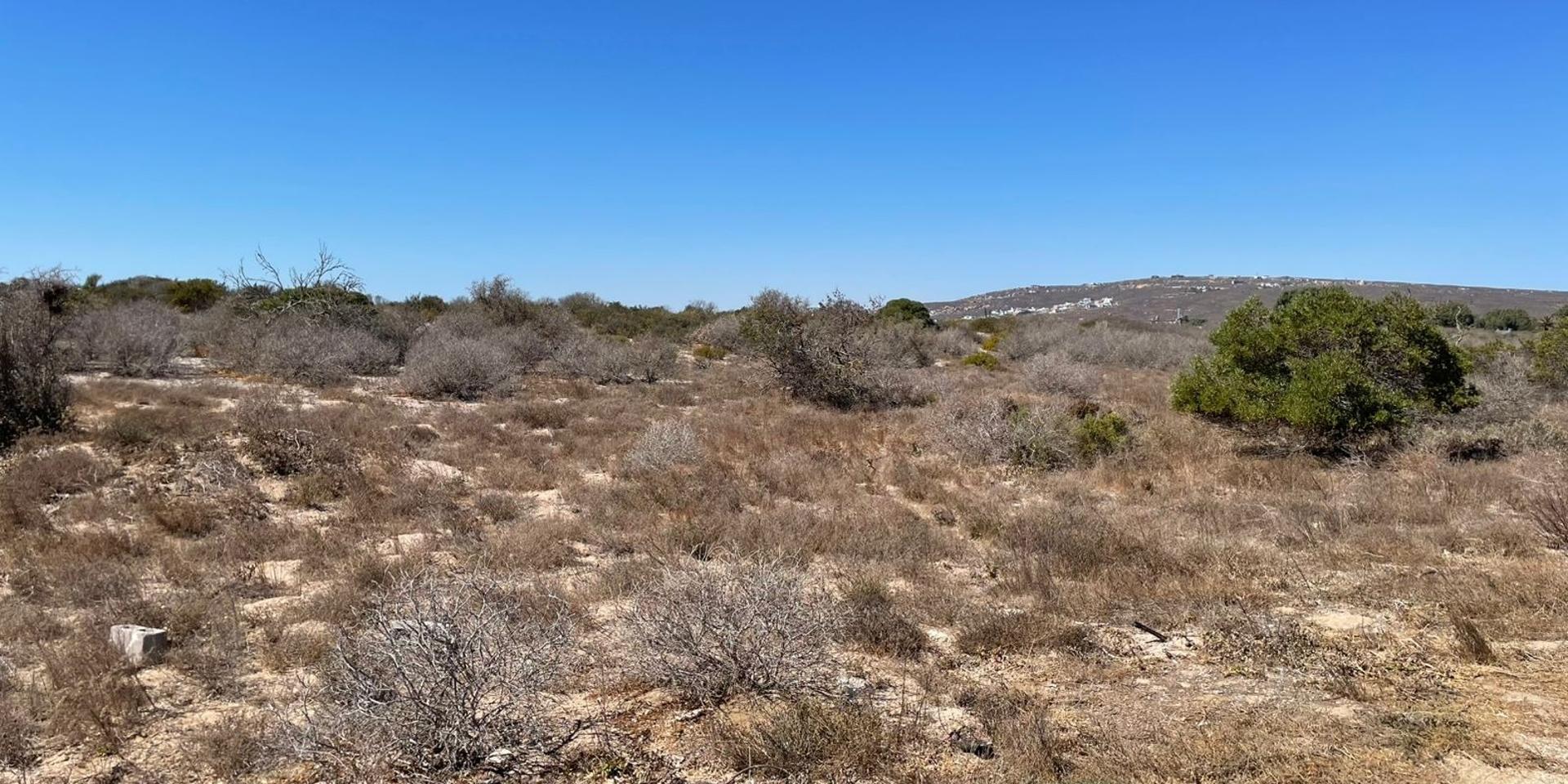 Image 2 of 6