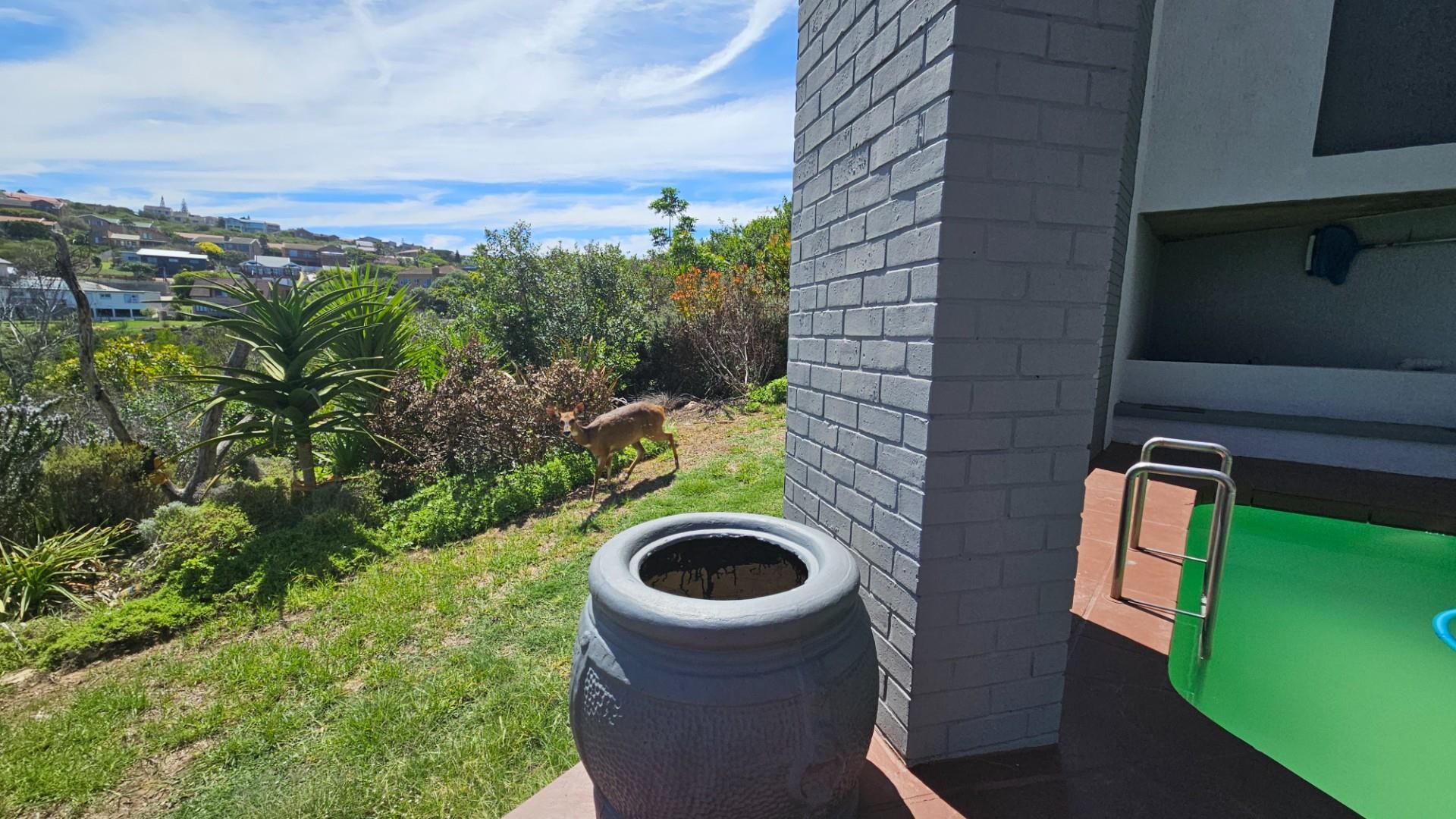 Image 85