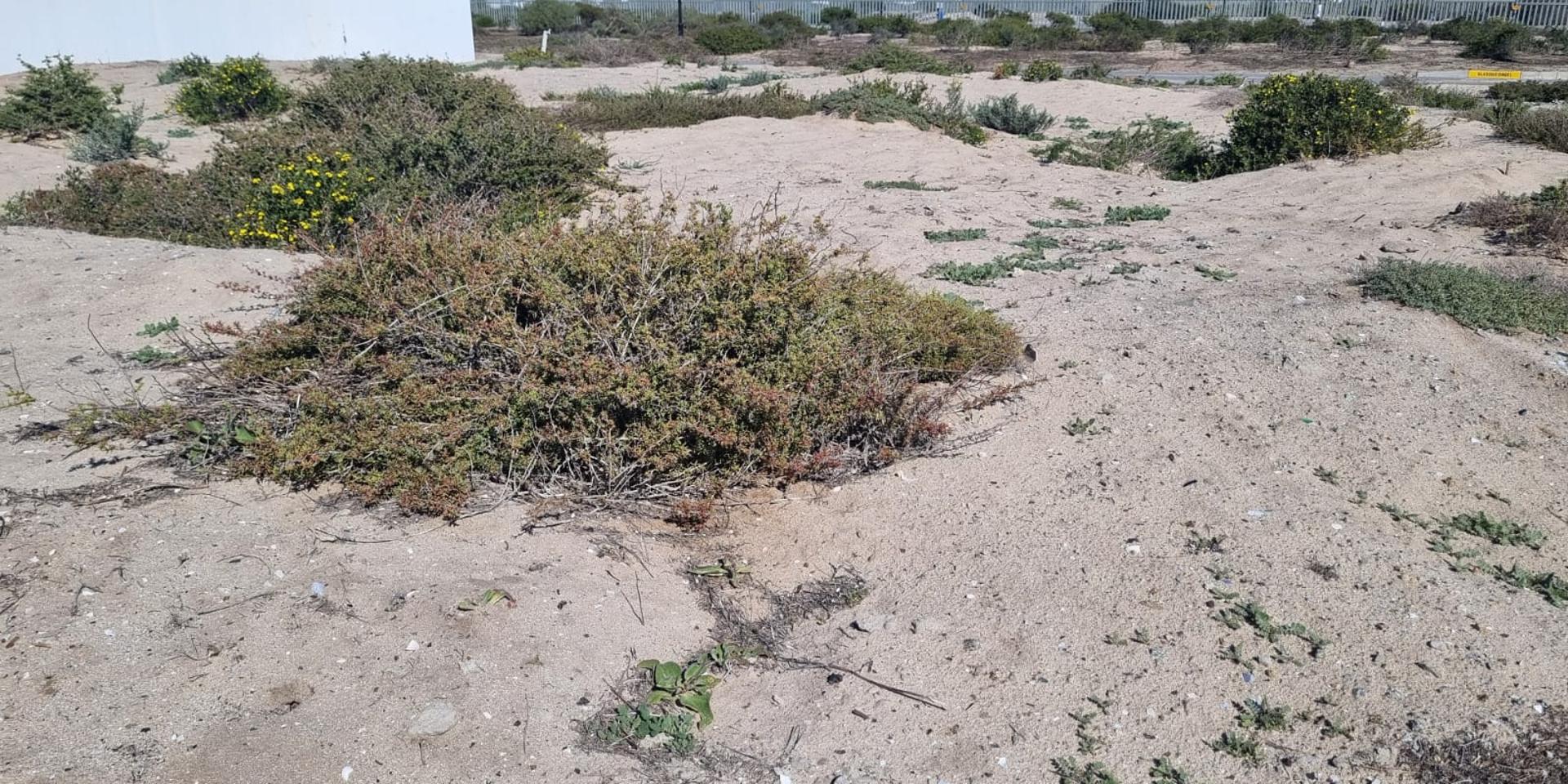 Image 4 of 6