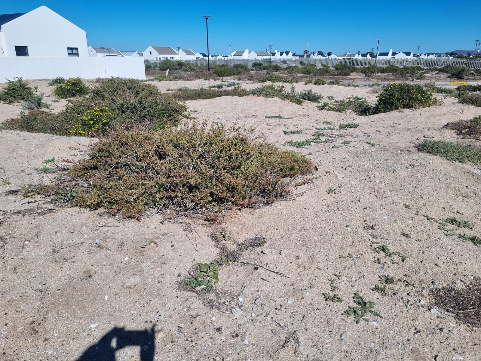 Image 4 of 6