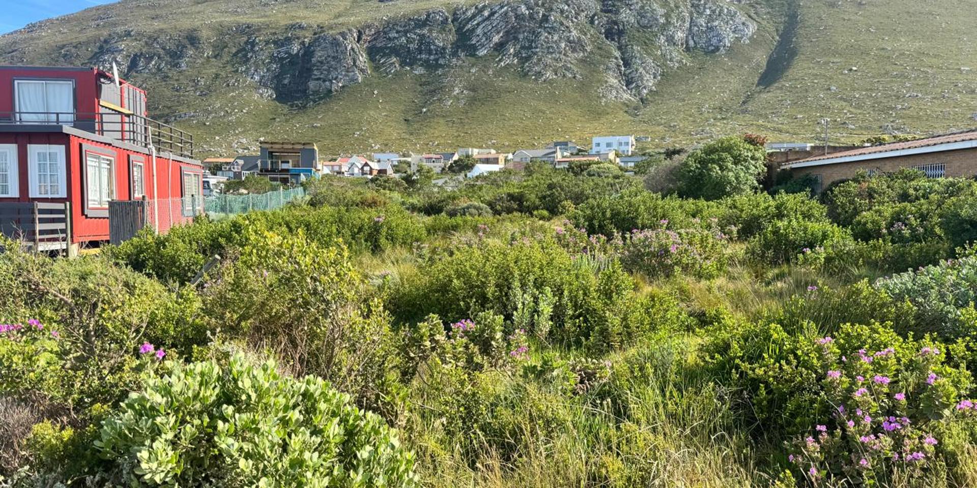 Image 3 of 6