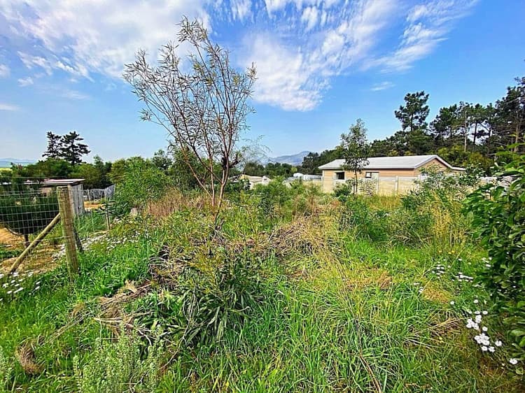 Main property image