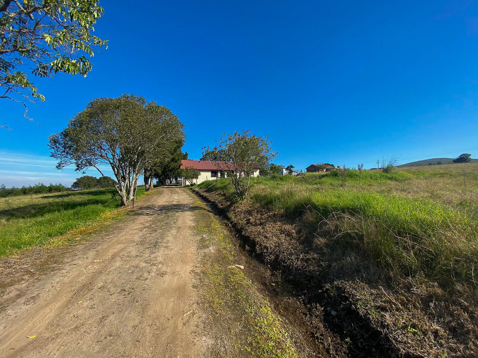 Image 50
