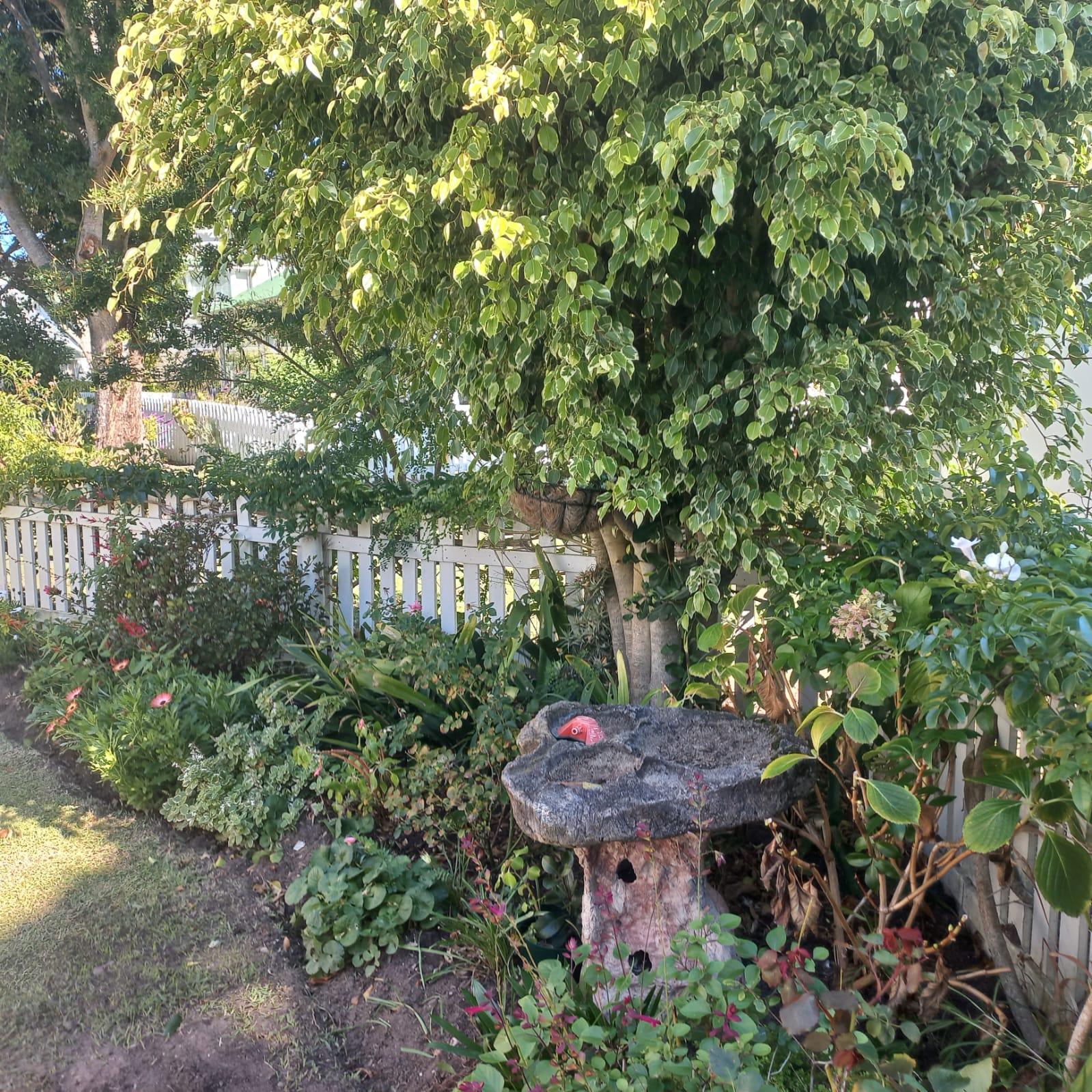 Image 44
