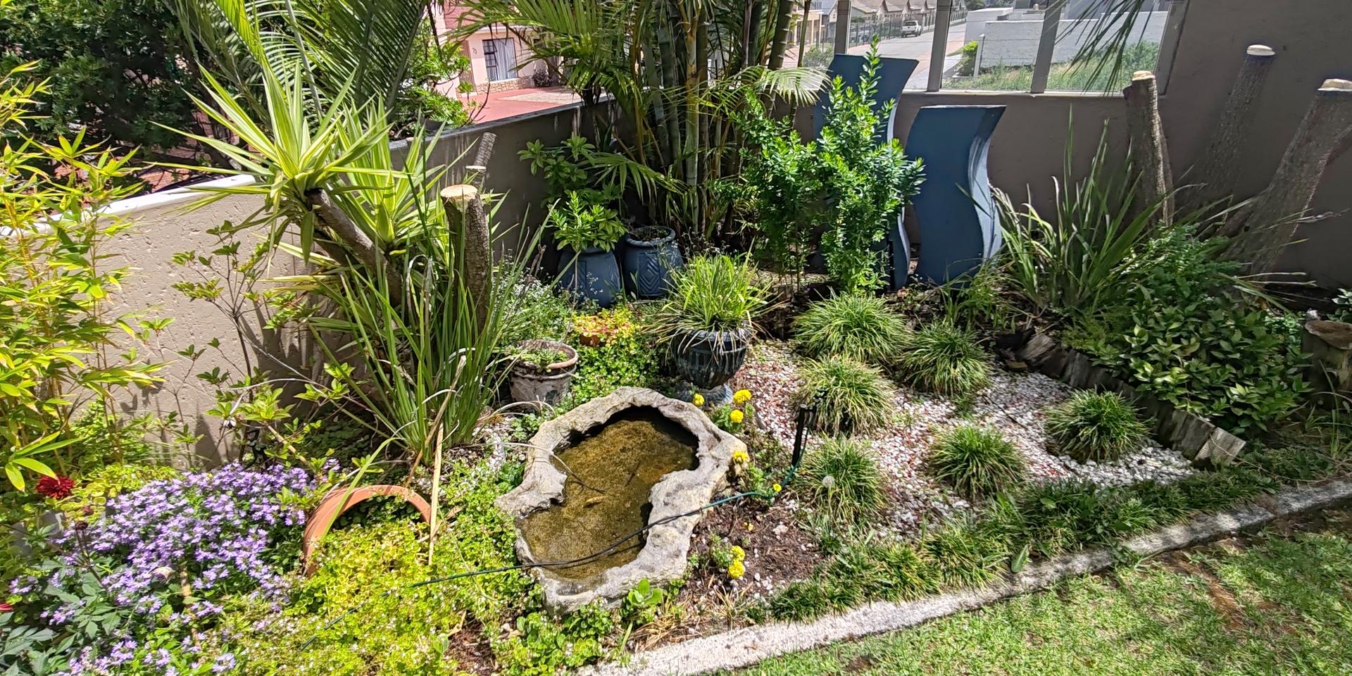 Image 4 of 6