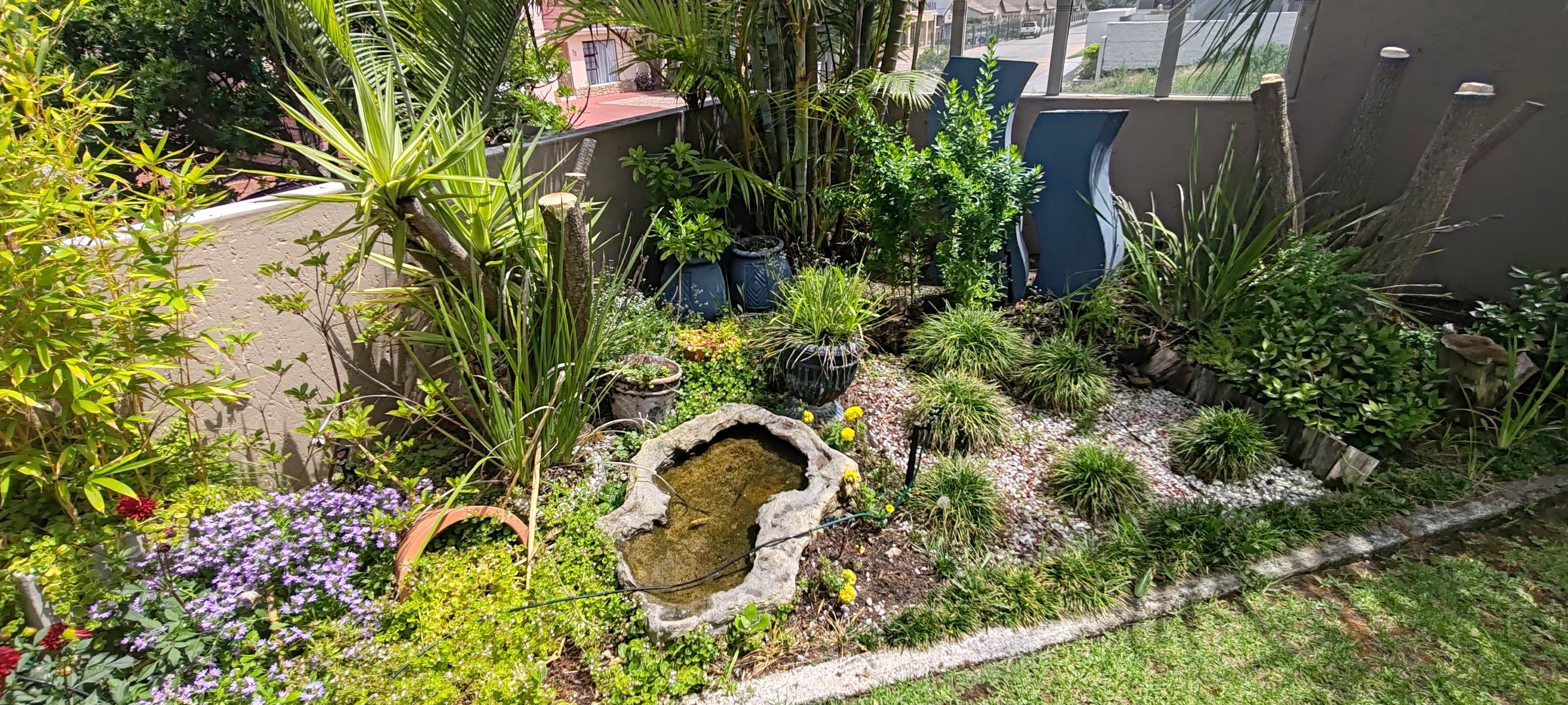 Image 4 of 6
