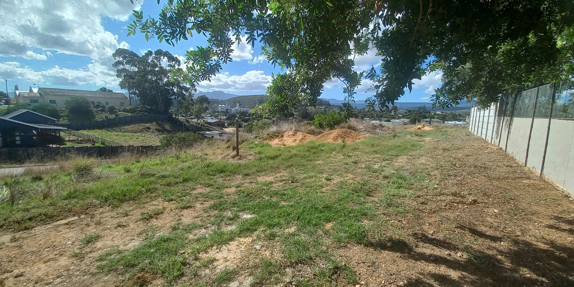 Image 4 of 6
