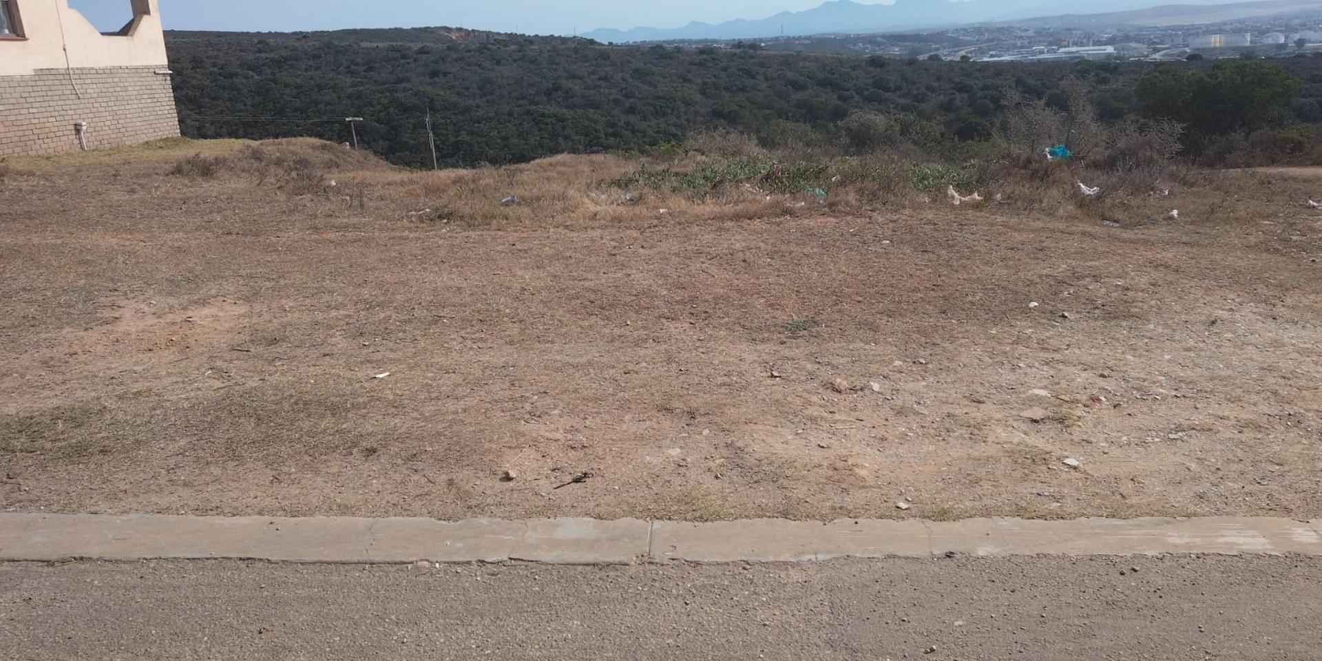 Image 4 of 6