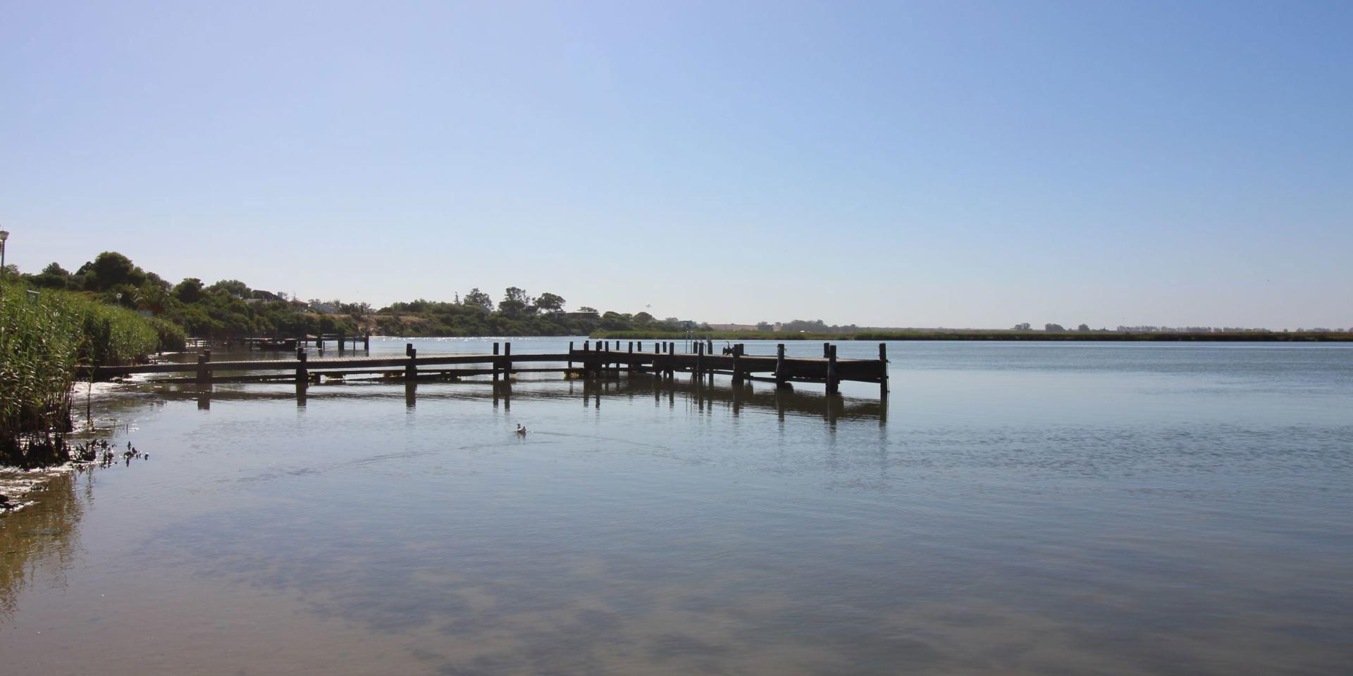 Image 5 of 6