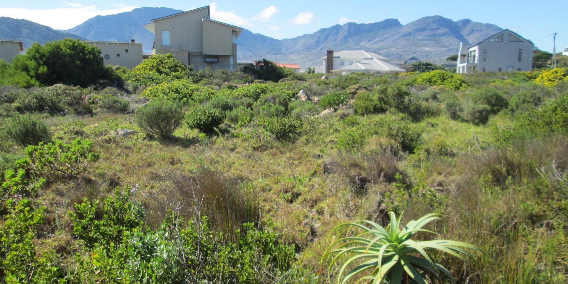 Image 5 of 6