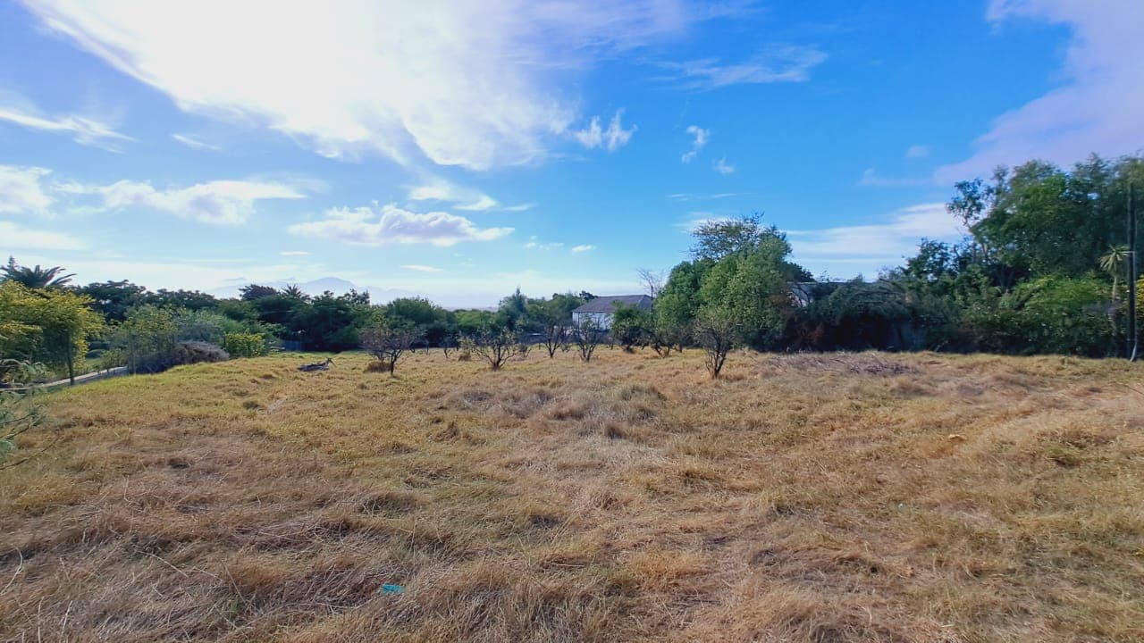 Image 5 of 6