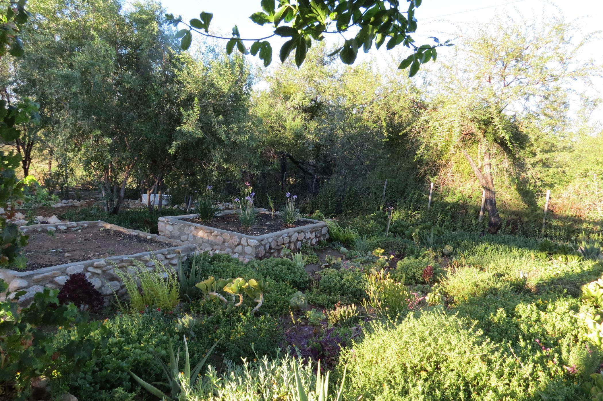 Image 38