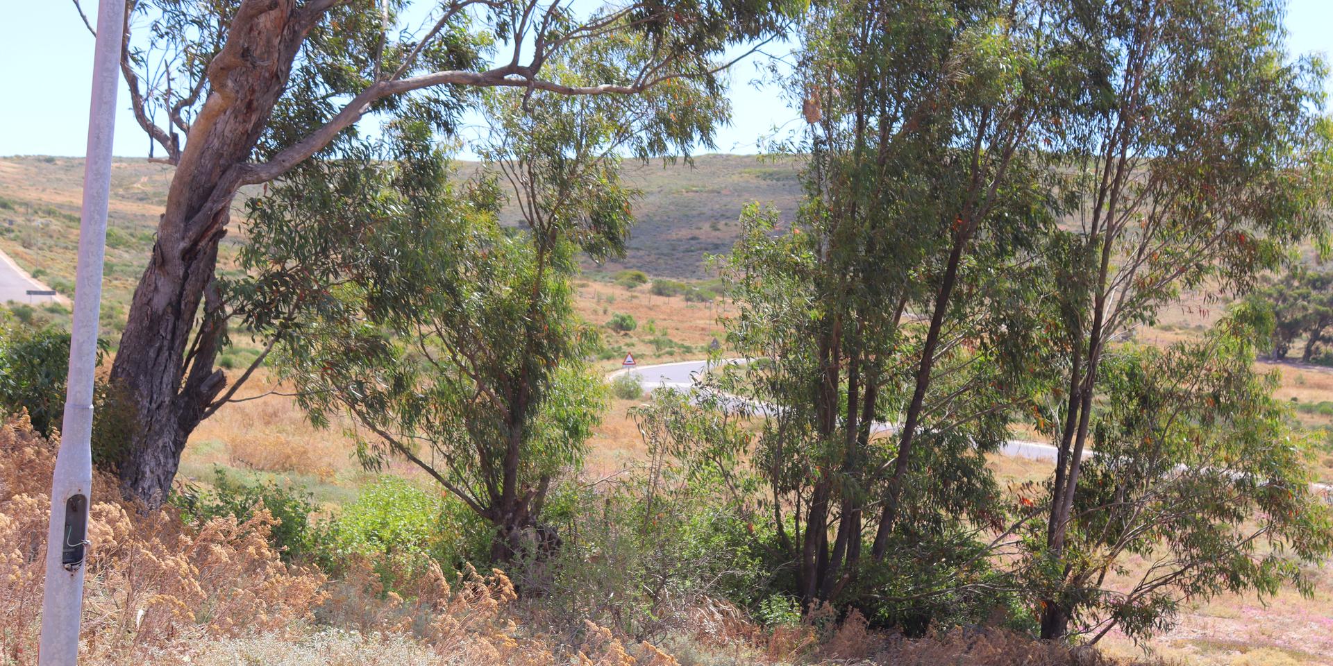 Image 5 of 6