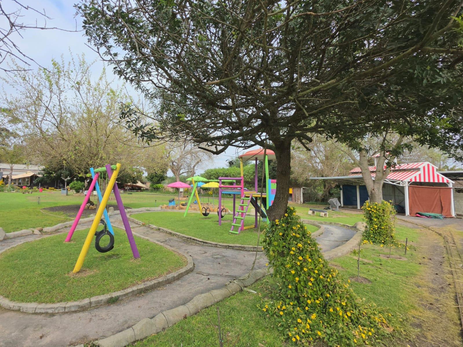 Image 12