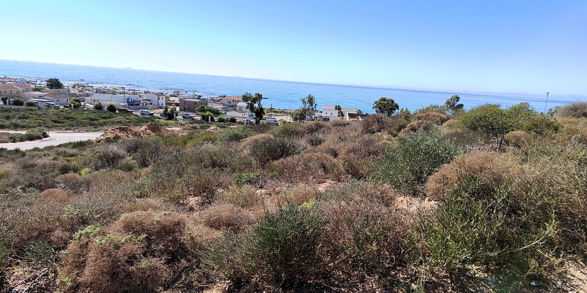 Image 2 of 6