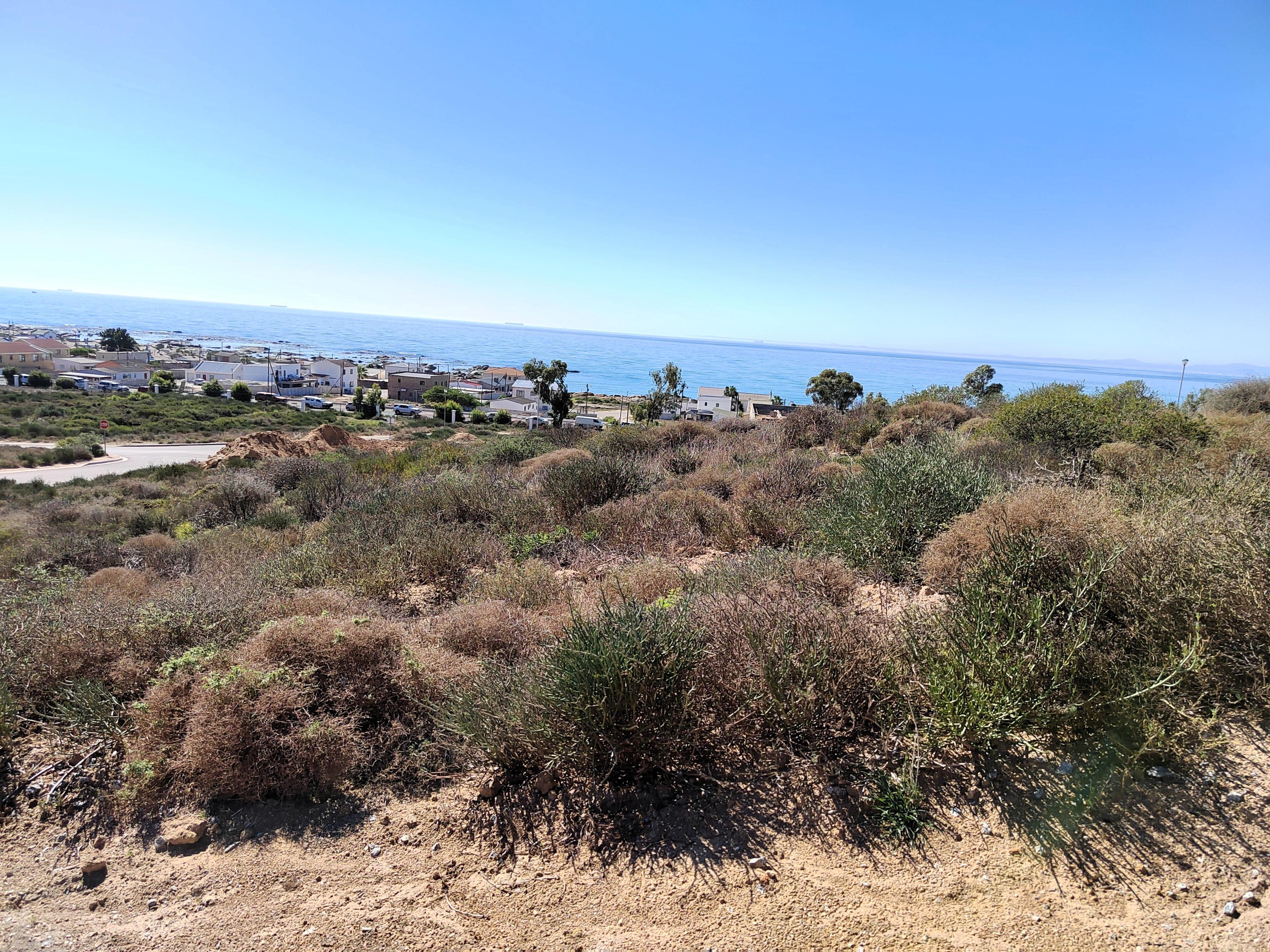 Image 2 of 6