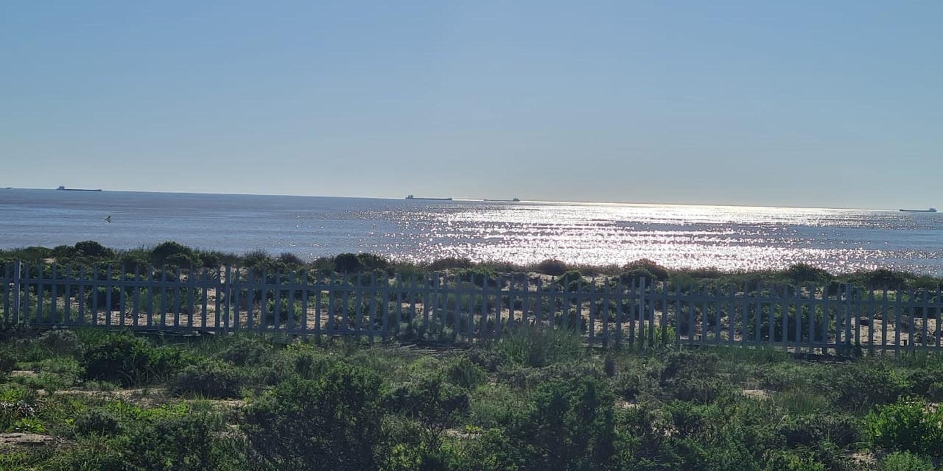 Image 5 of 6