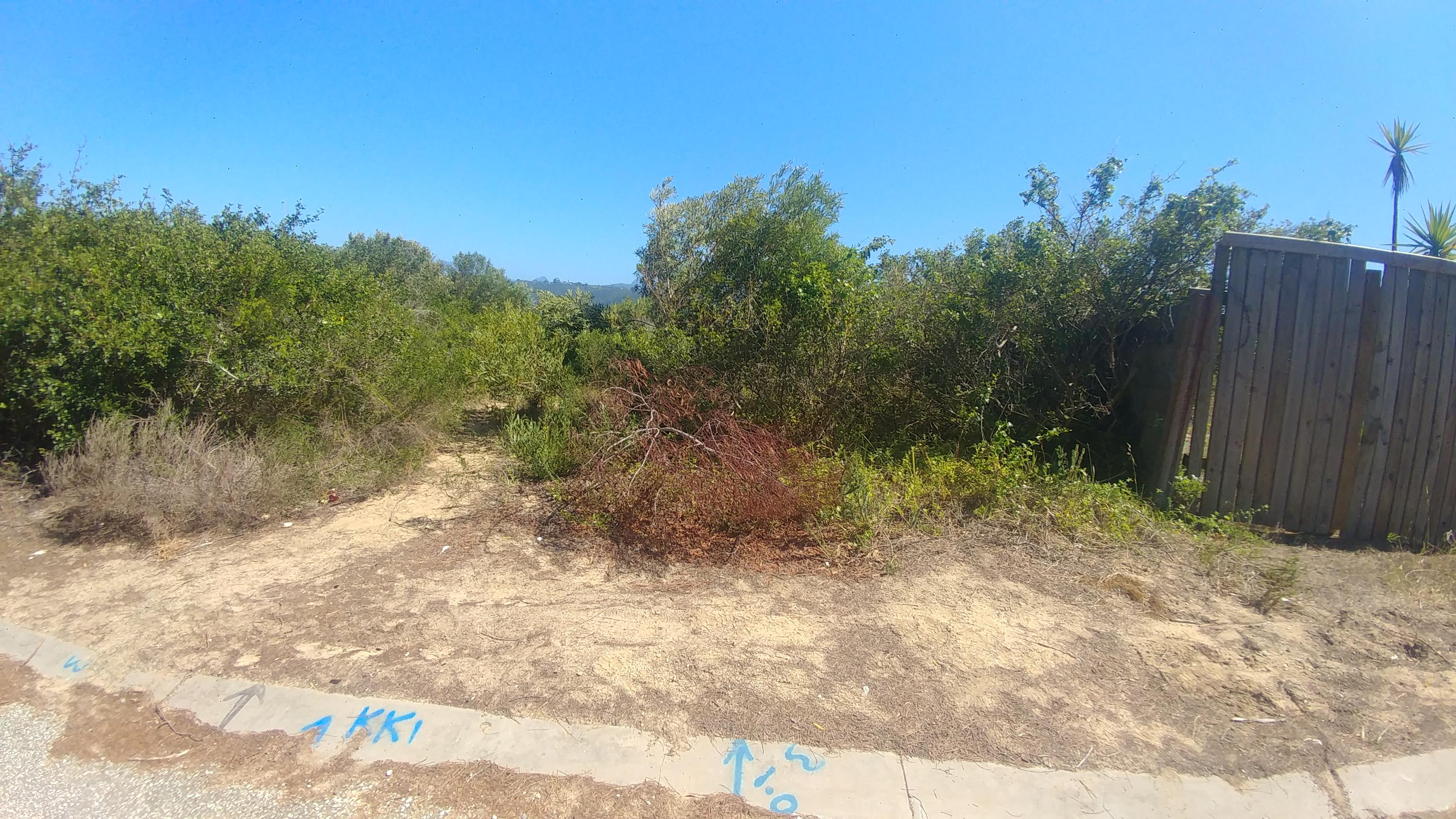Image 14