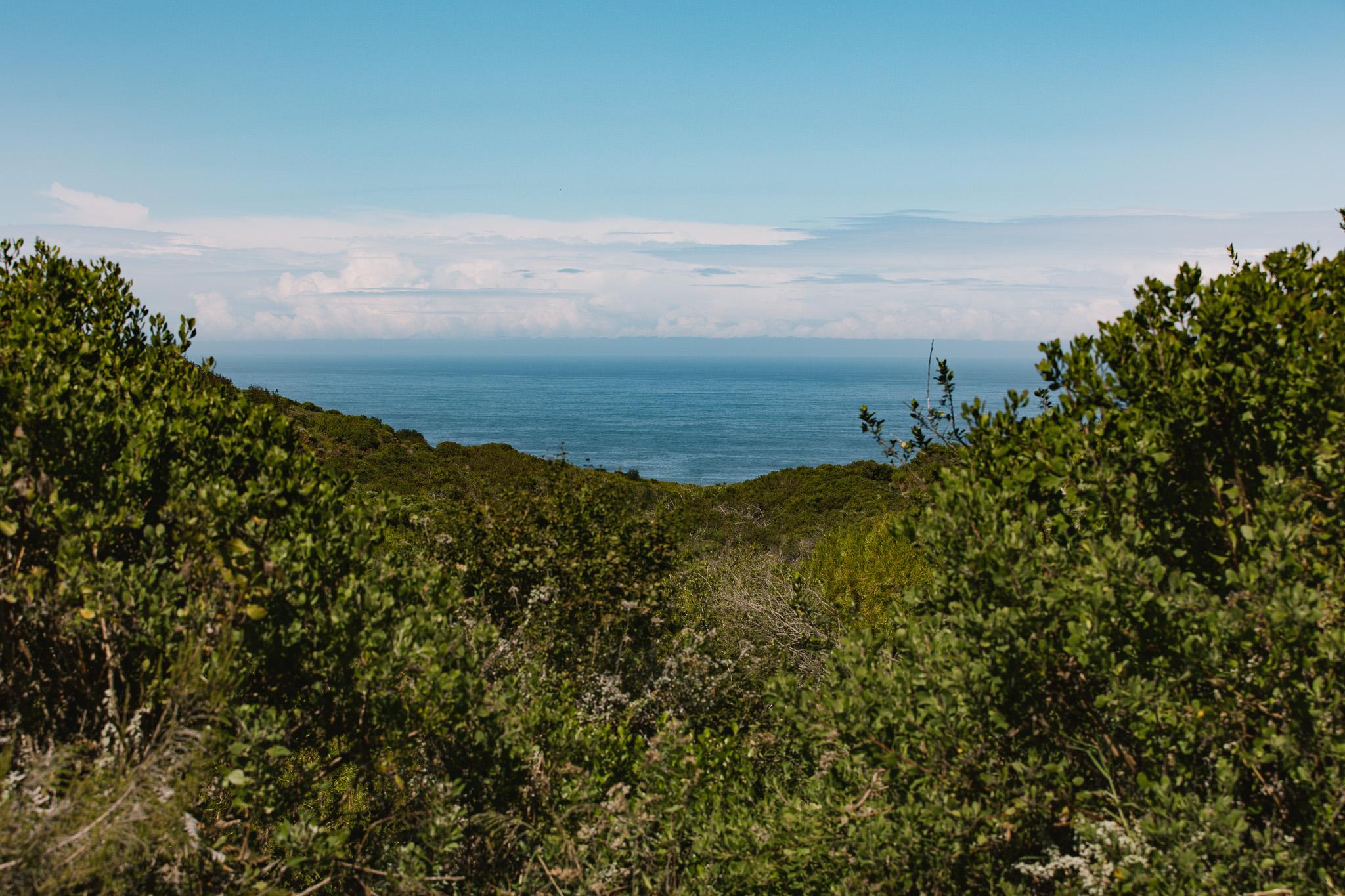 Image 4 of 6