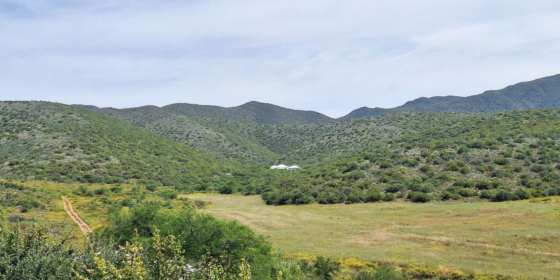 Pam Golding Properties property for sale (1 792 listings) | FindHomes