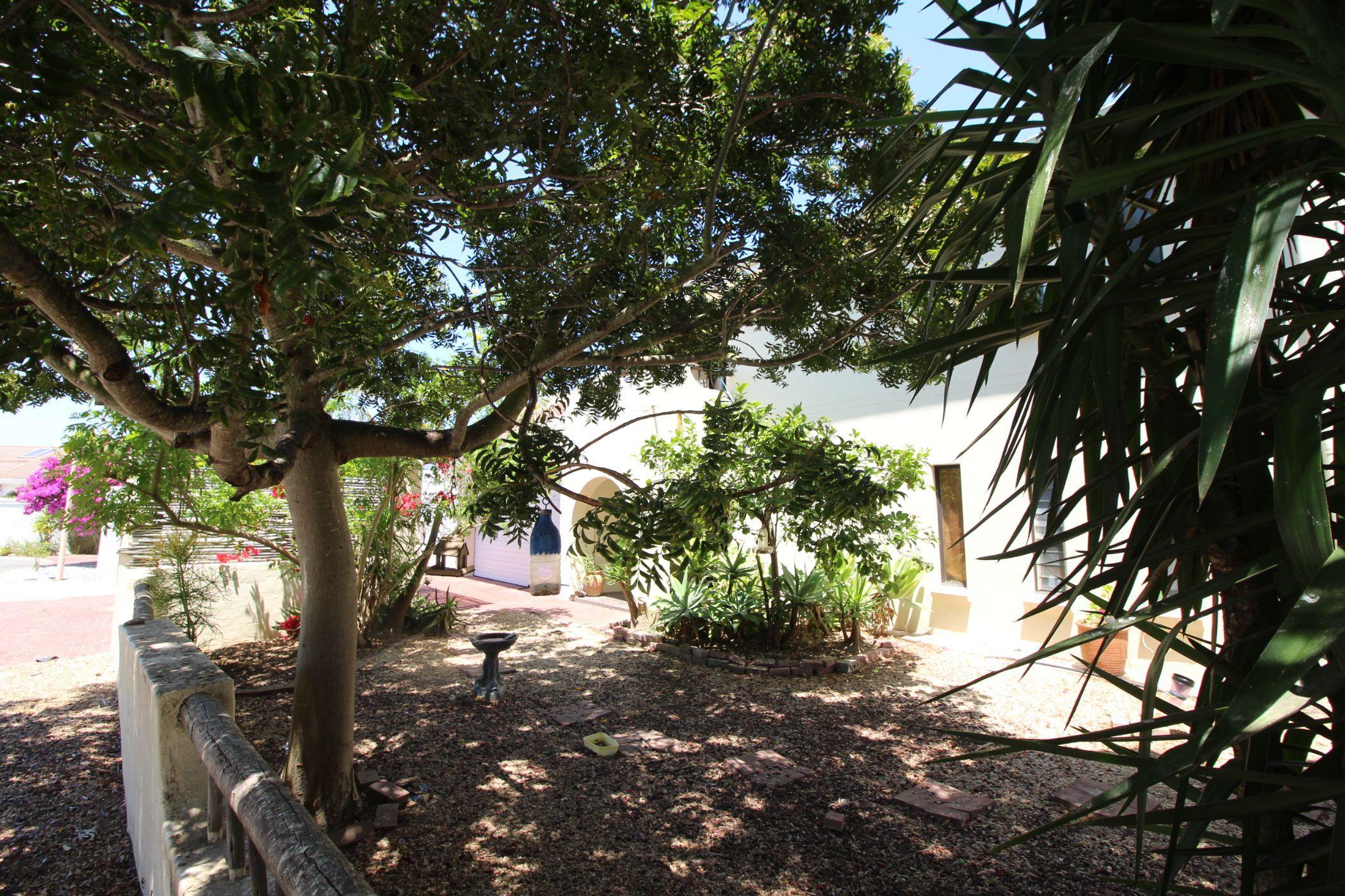 Image 35