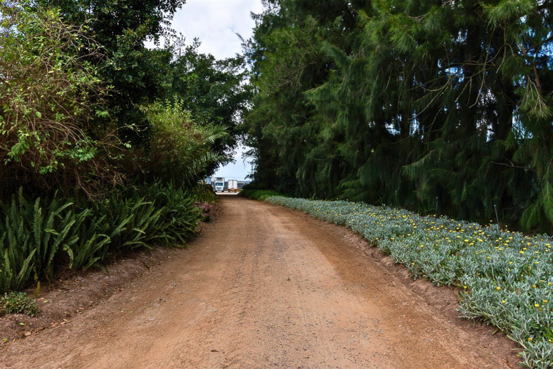 Image 29