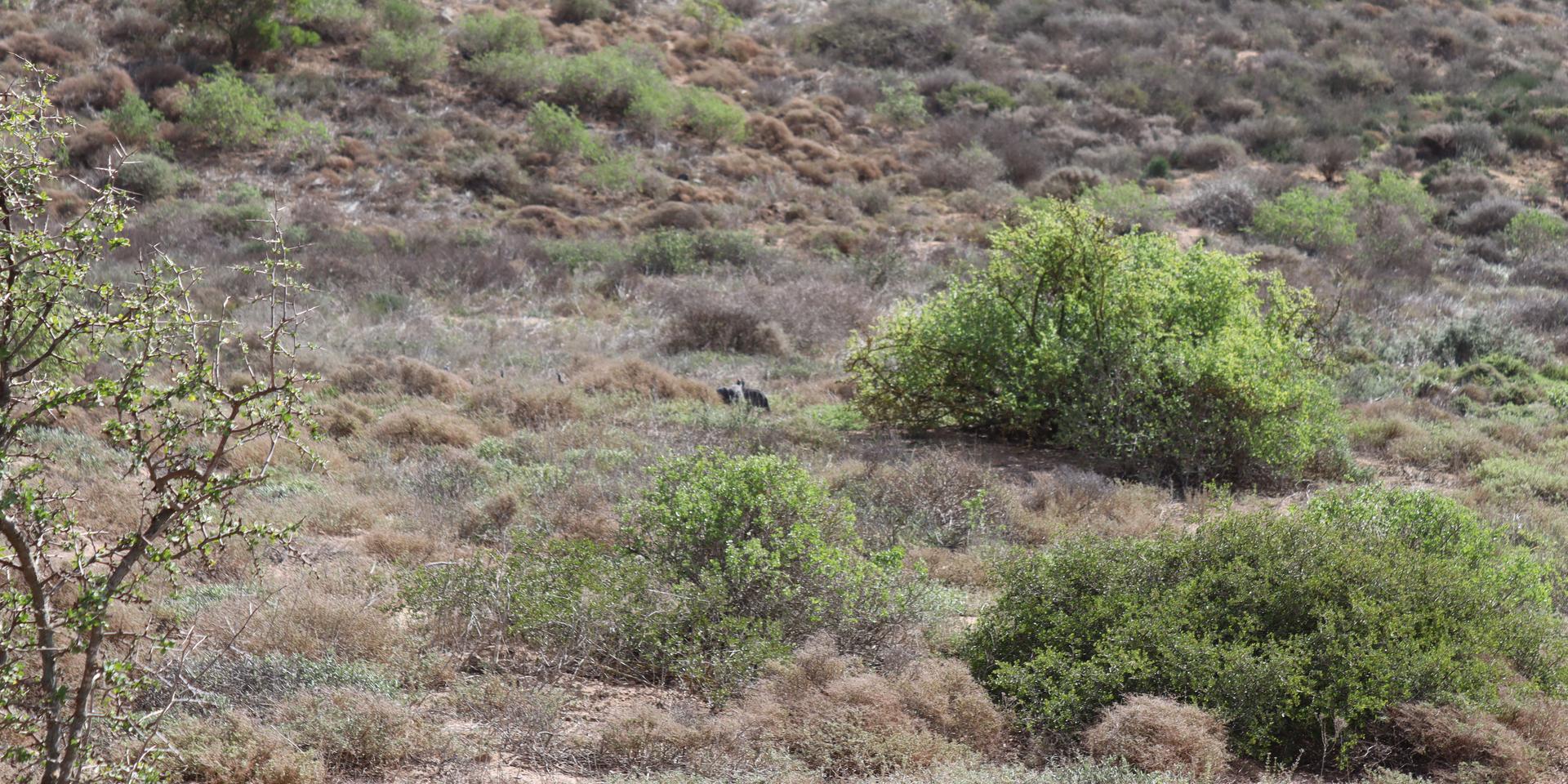 Image 5 of 6
