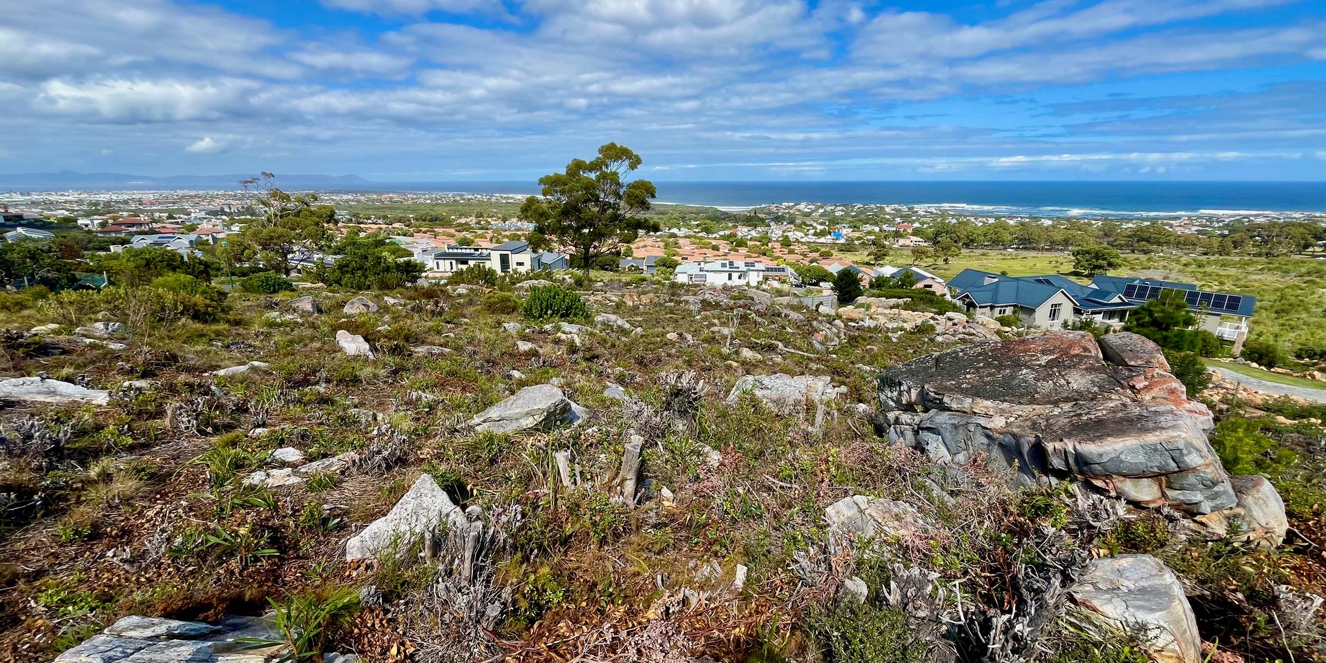 Image 4 of 6