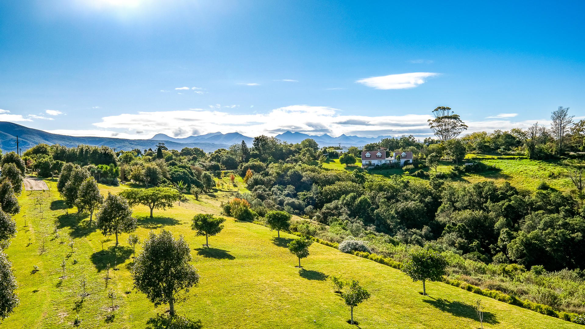 Image 21