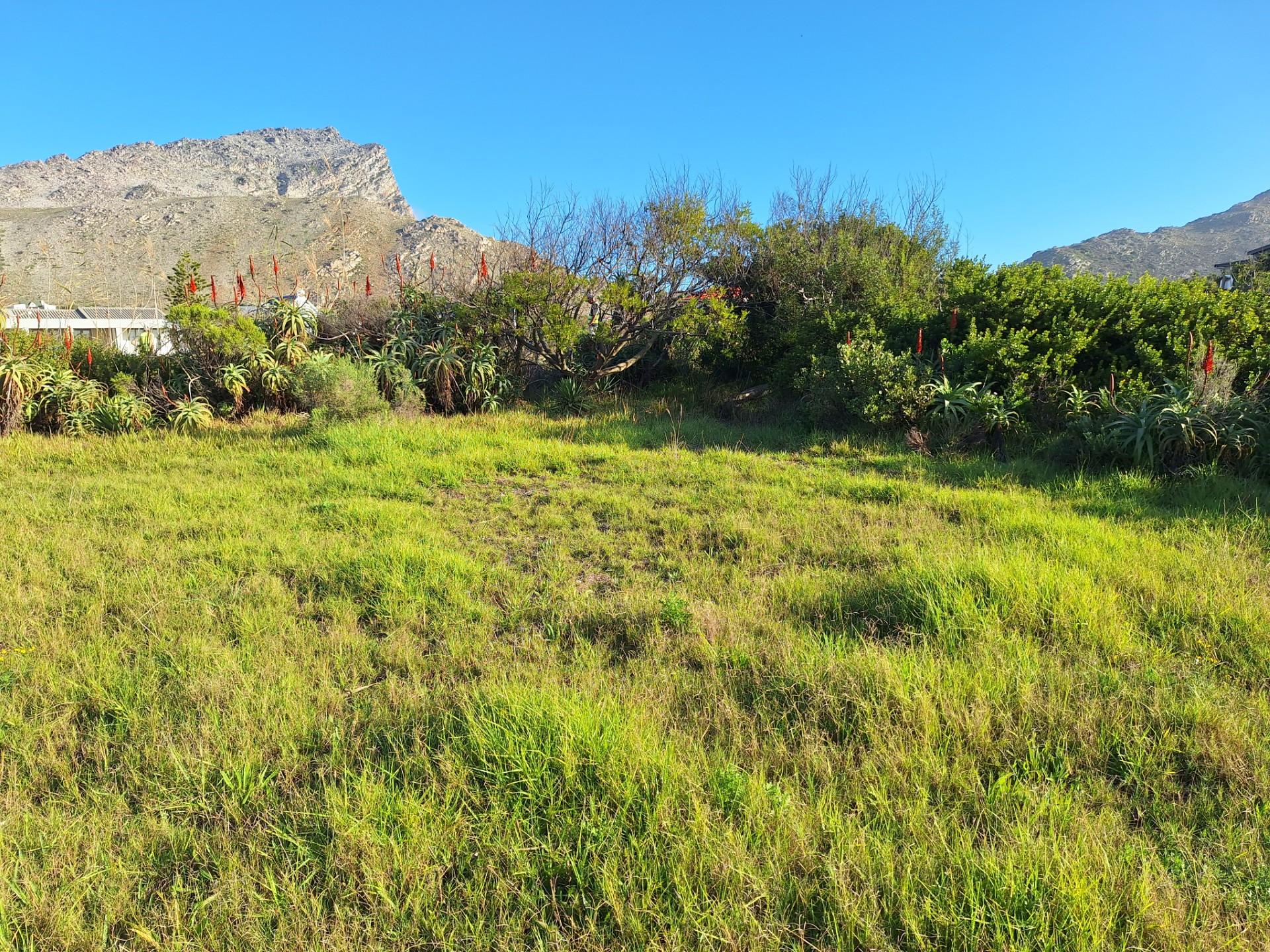 Image 2 of 6