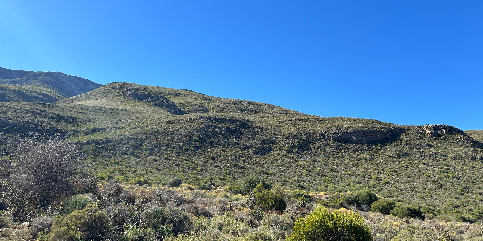 Image 4 of 6