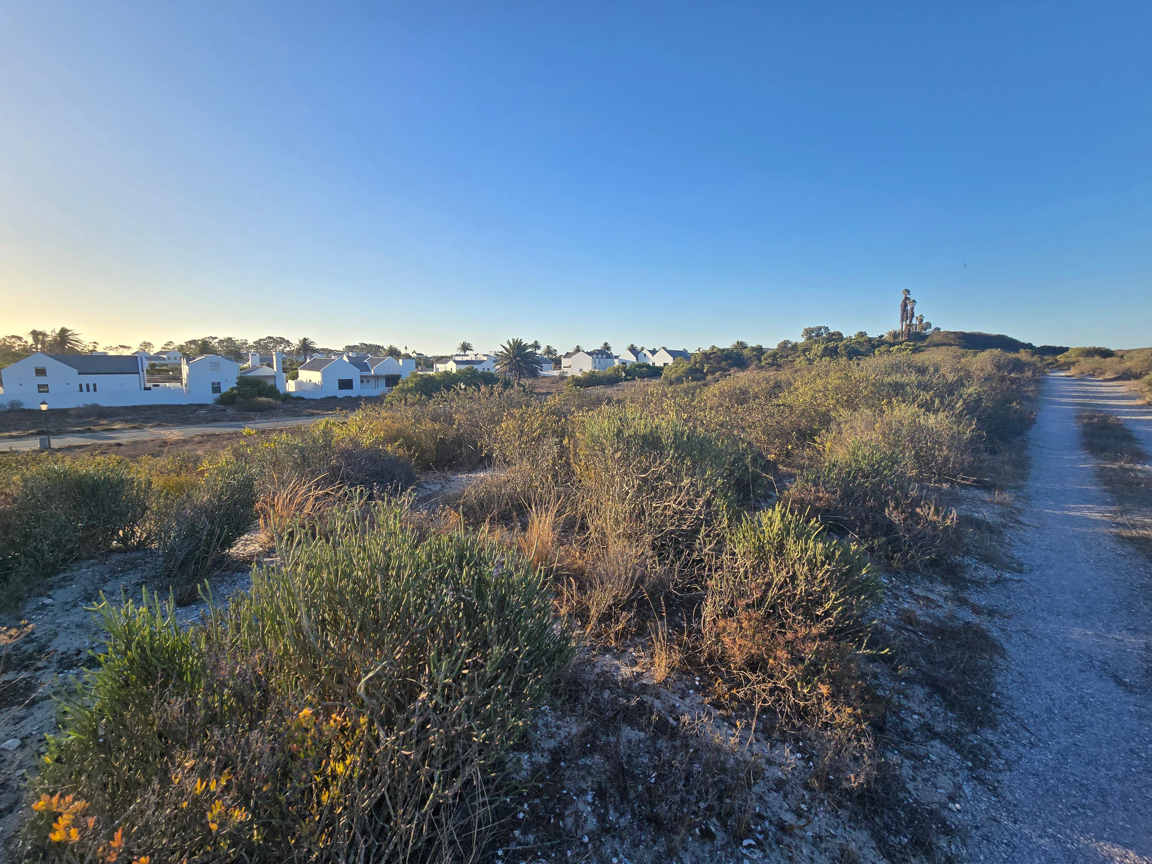 Image 4 of 6