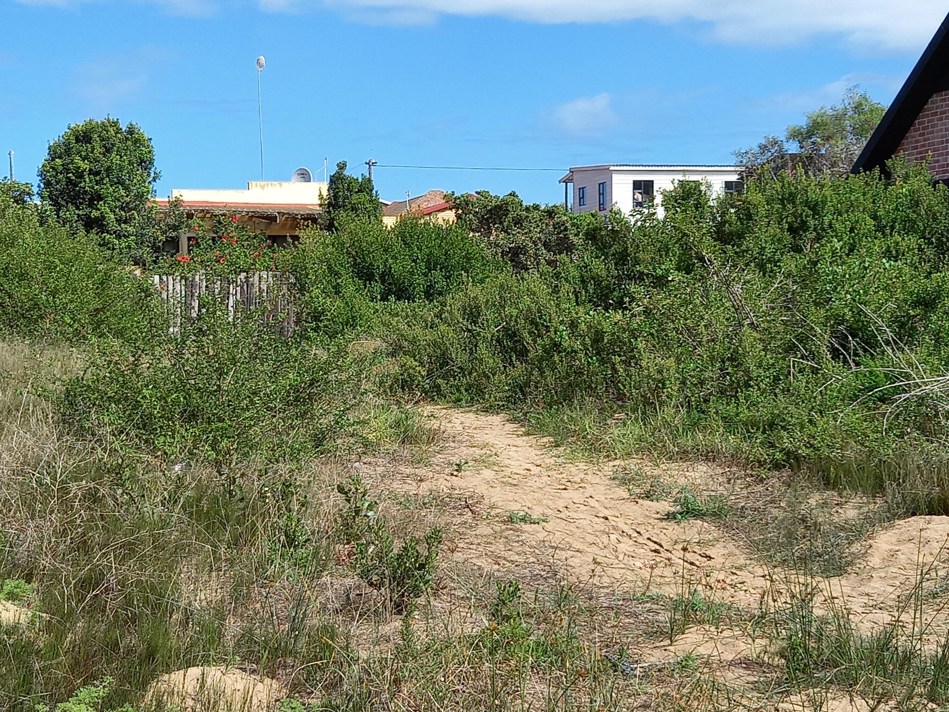 Image 12