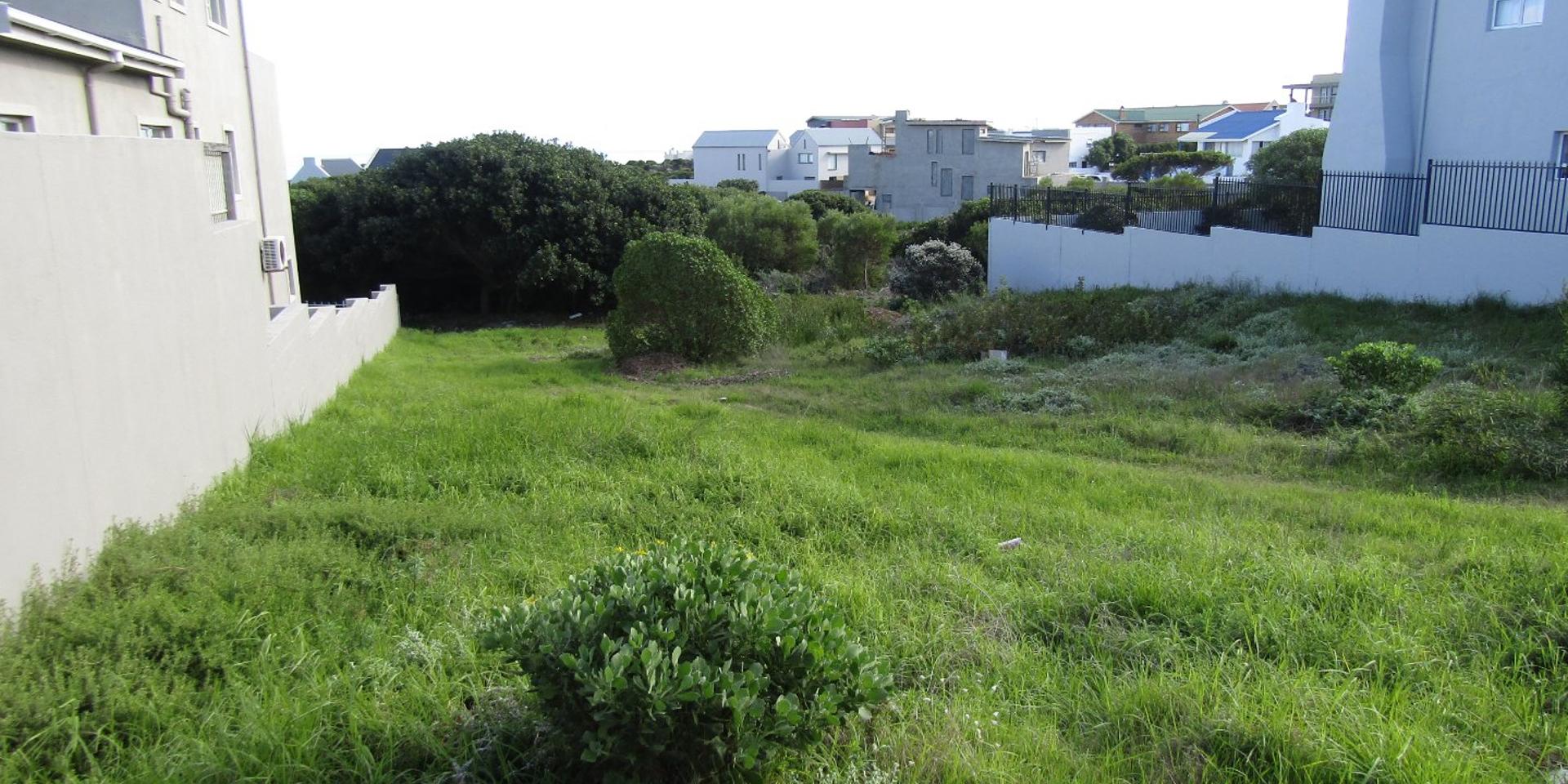 Image 4 of 6
