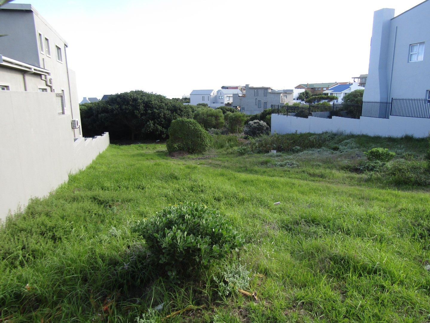 Image 5 of 6