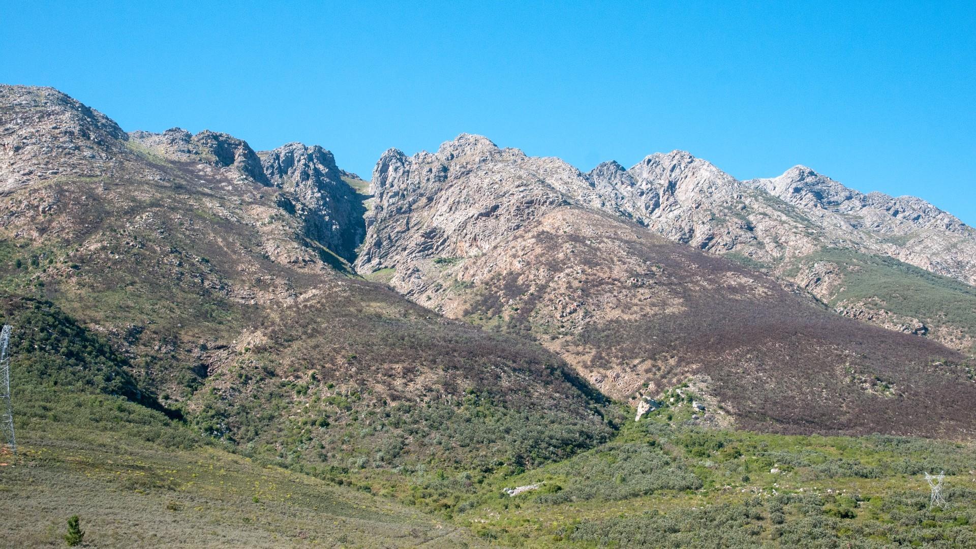 Image 33