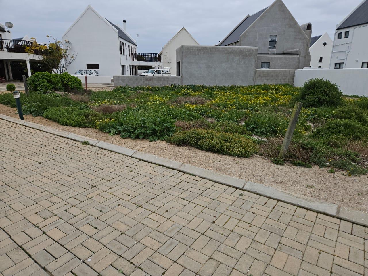 Image 4 of 6