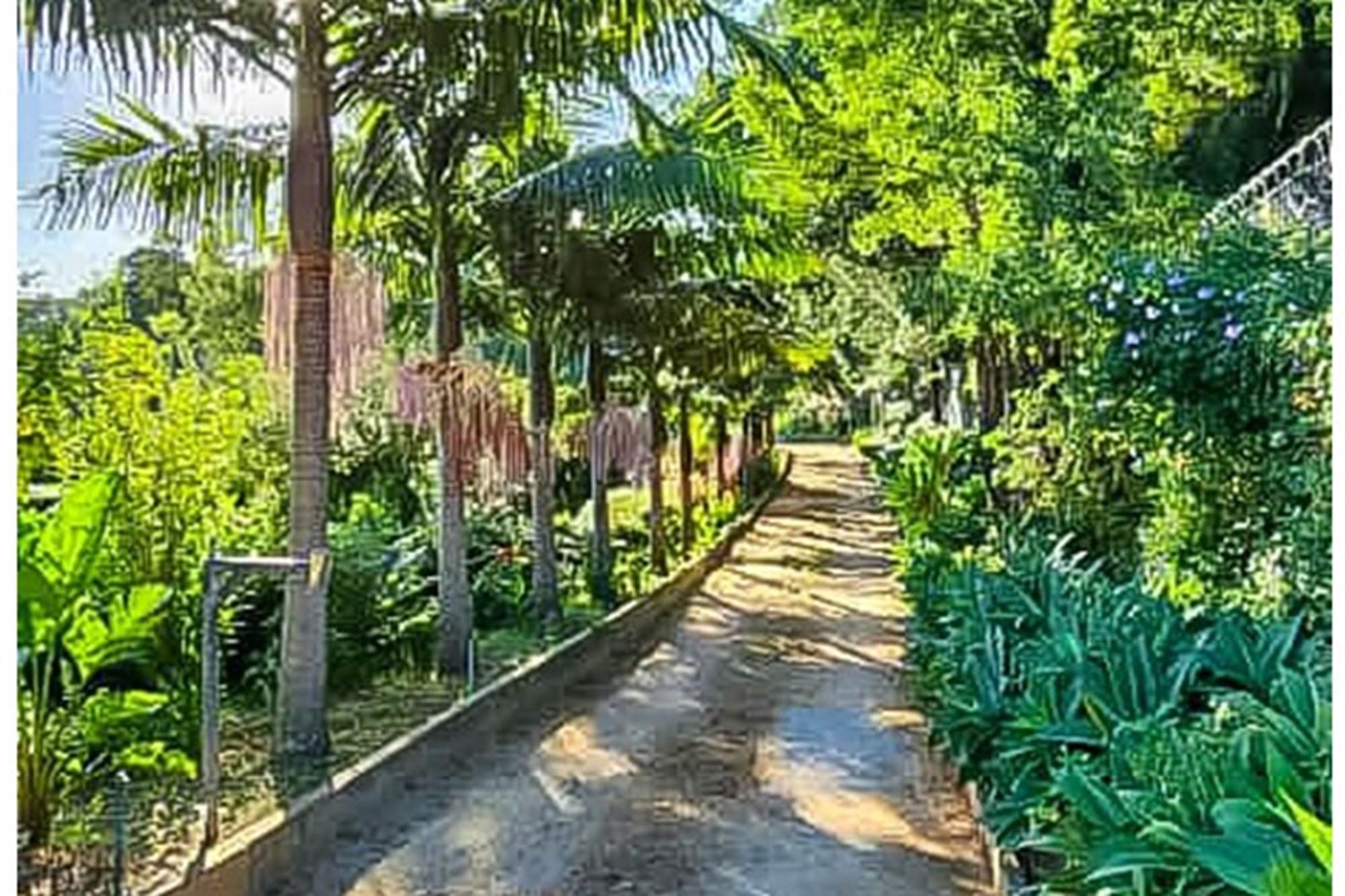 Image 35