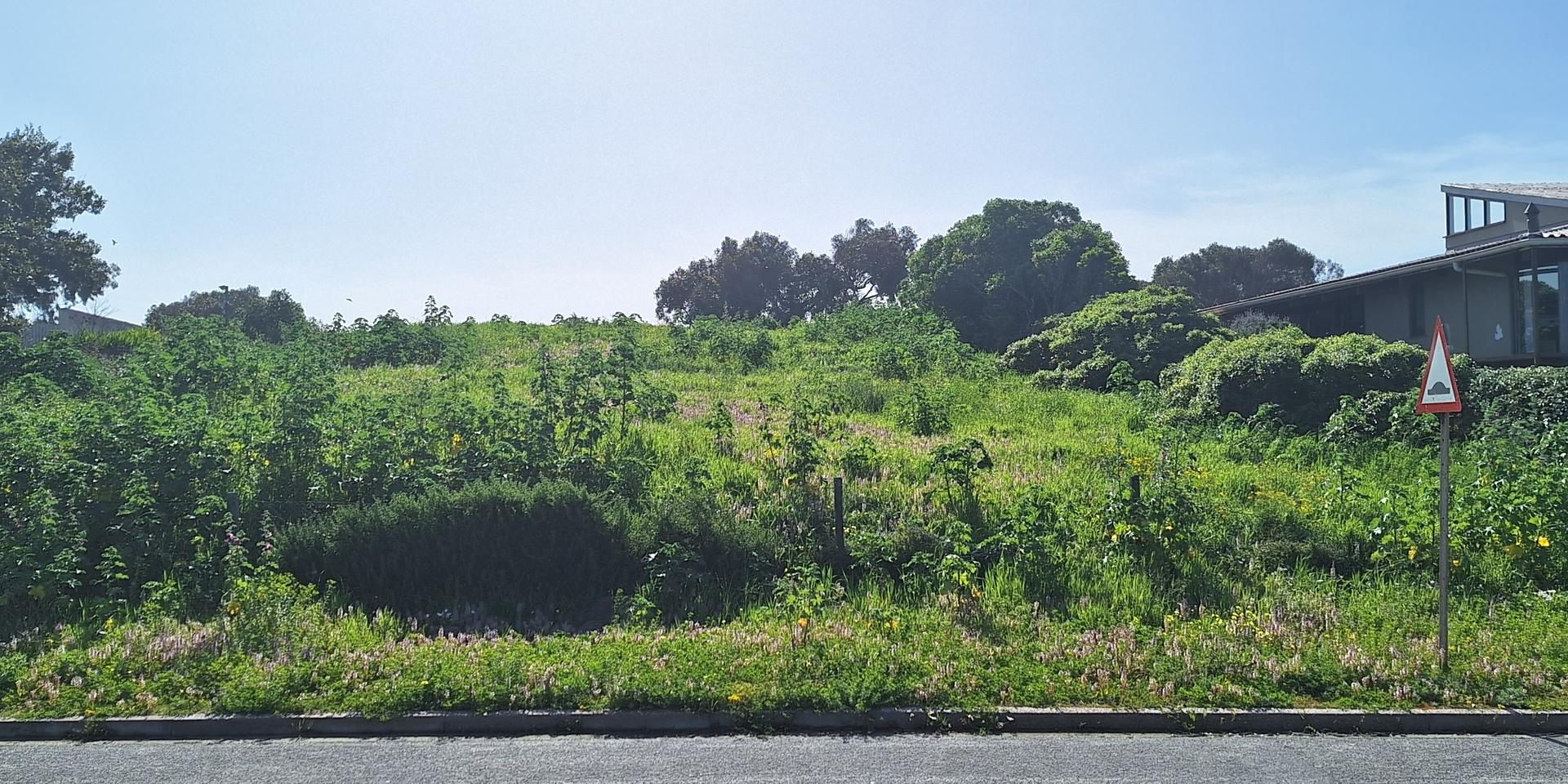 Image 2 of 6