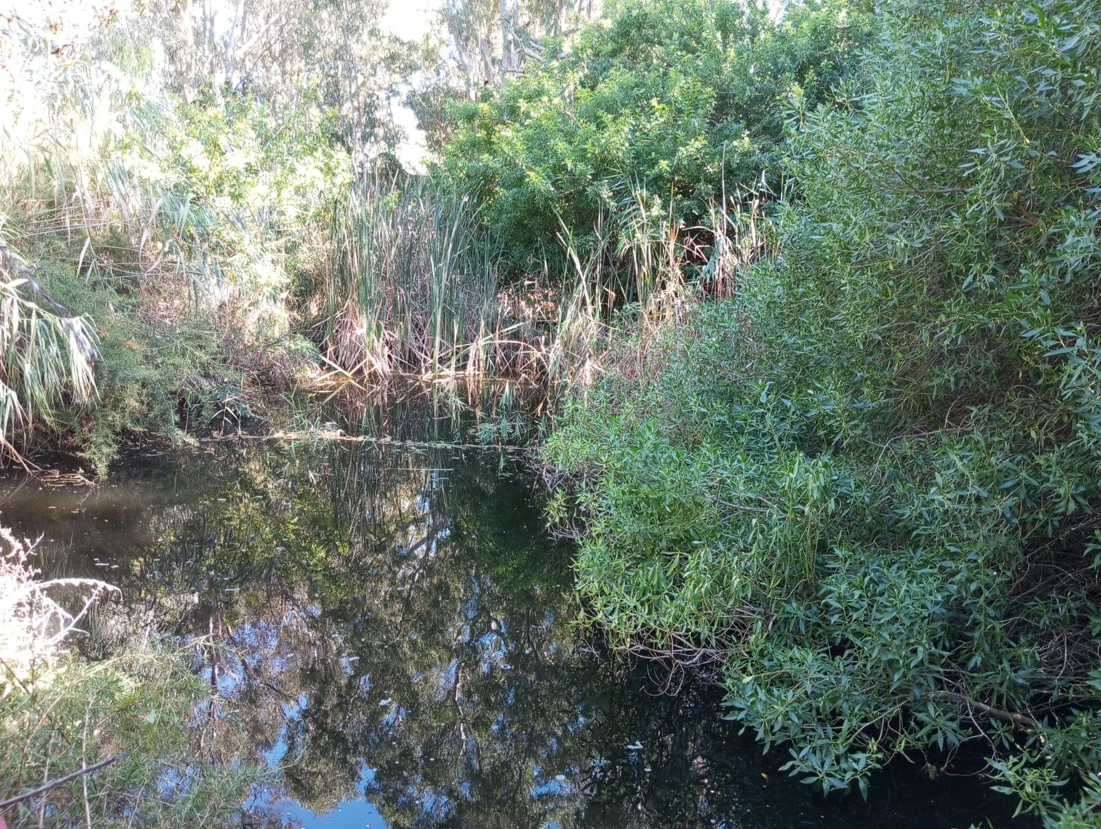 Image 45