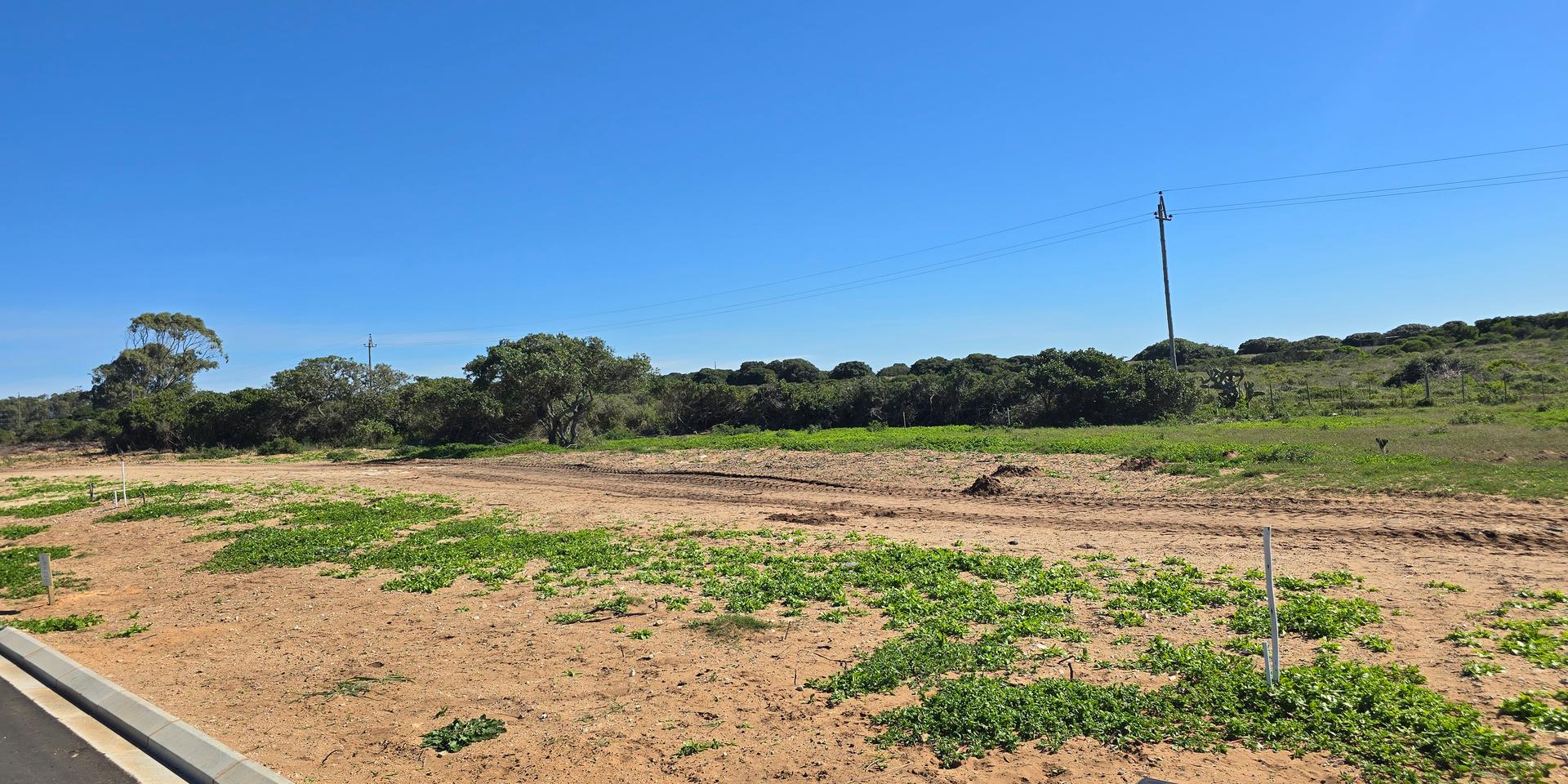 Image 4 of 6
