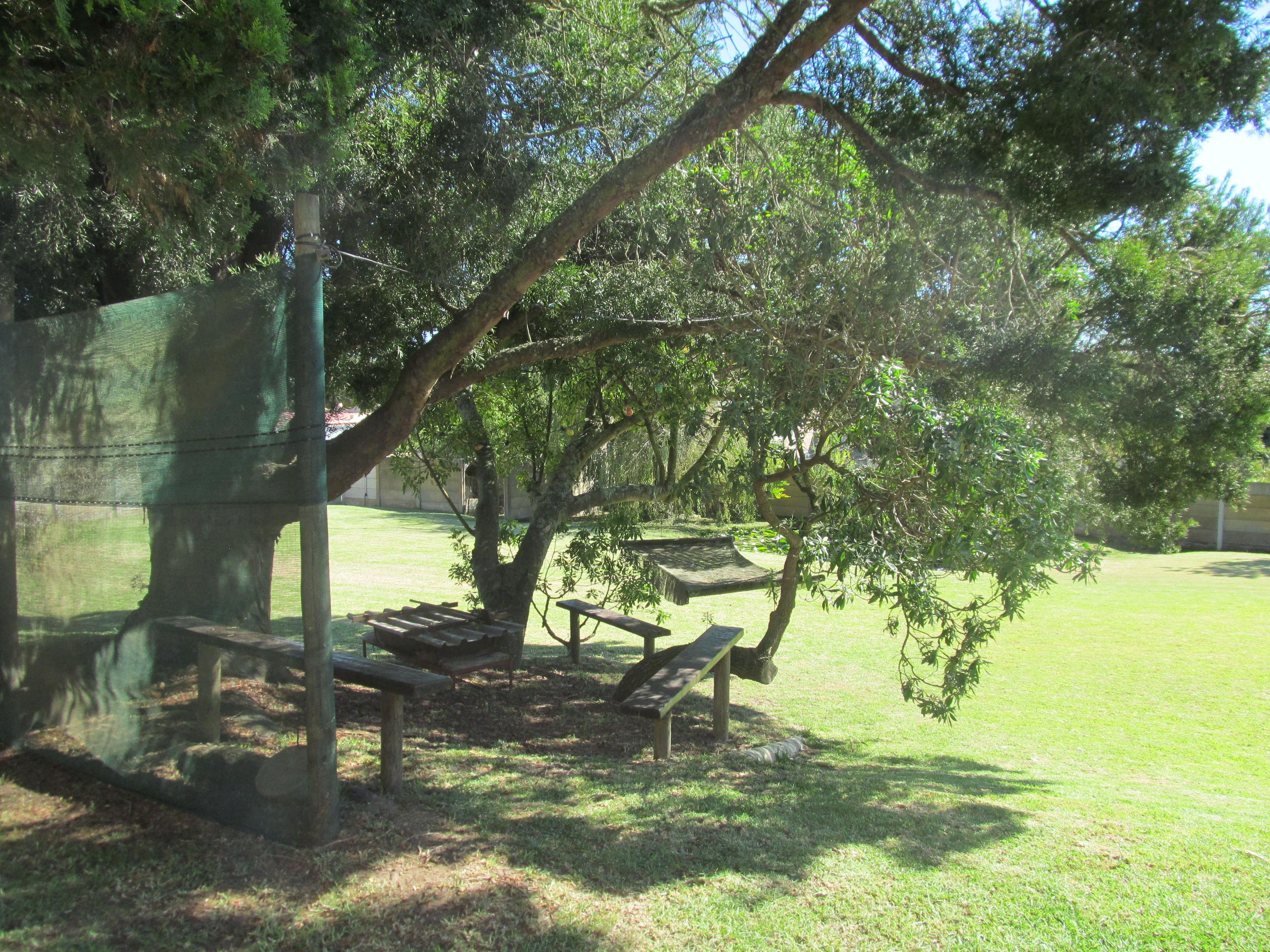 Image 39