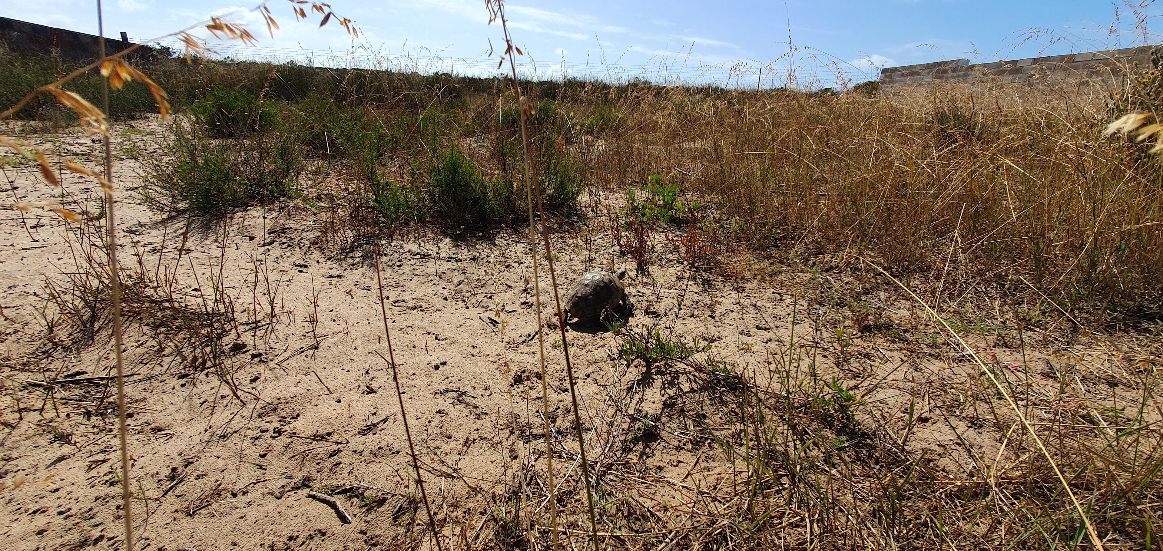Image 4 of 6