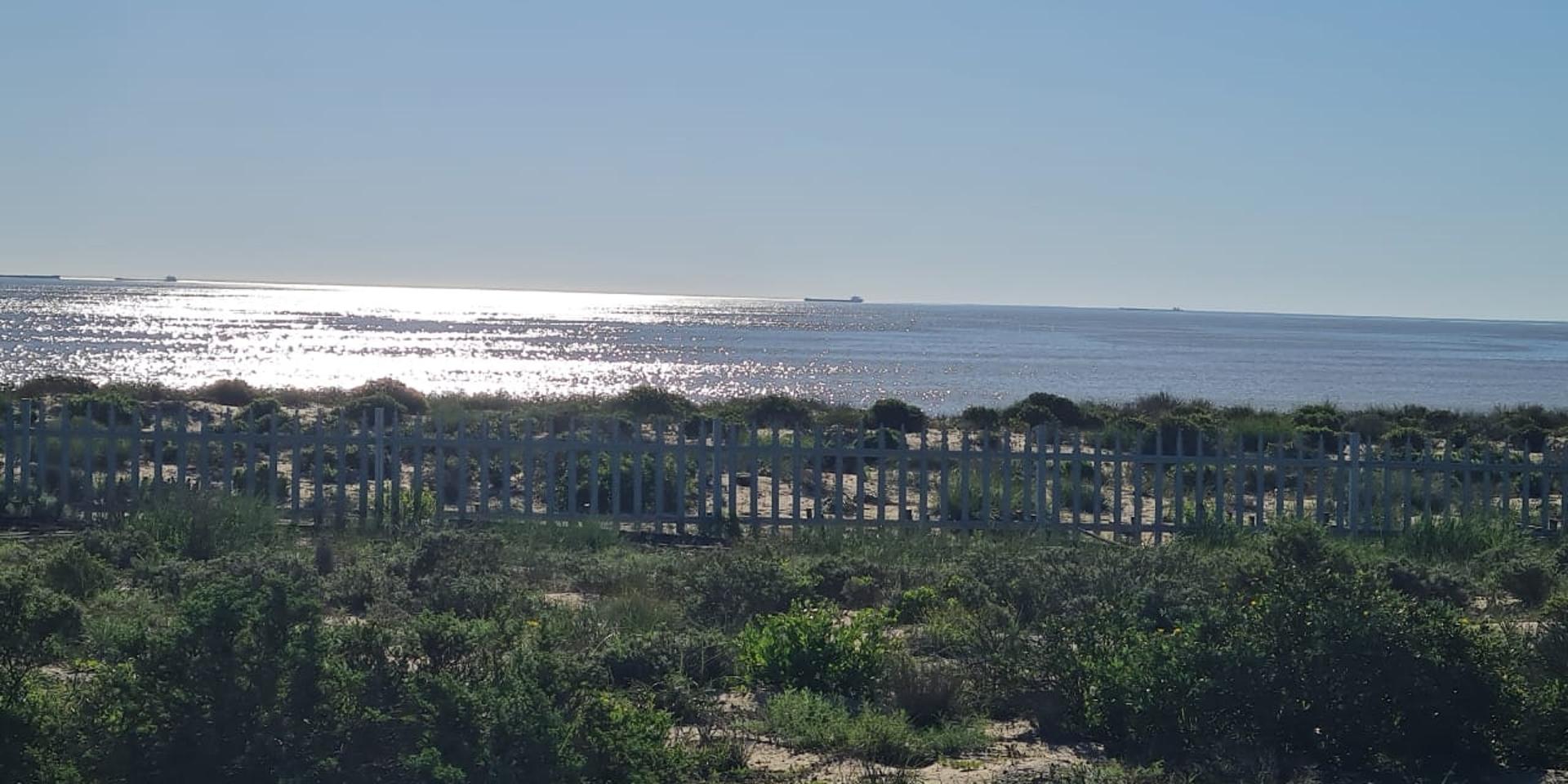 Image 4 of 6