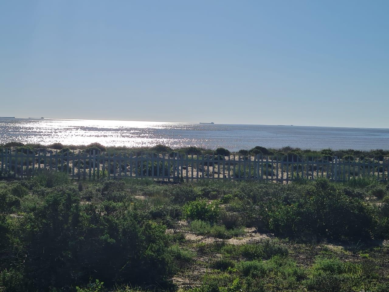 Image 4 of 6