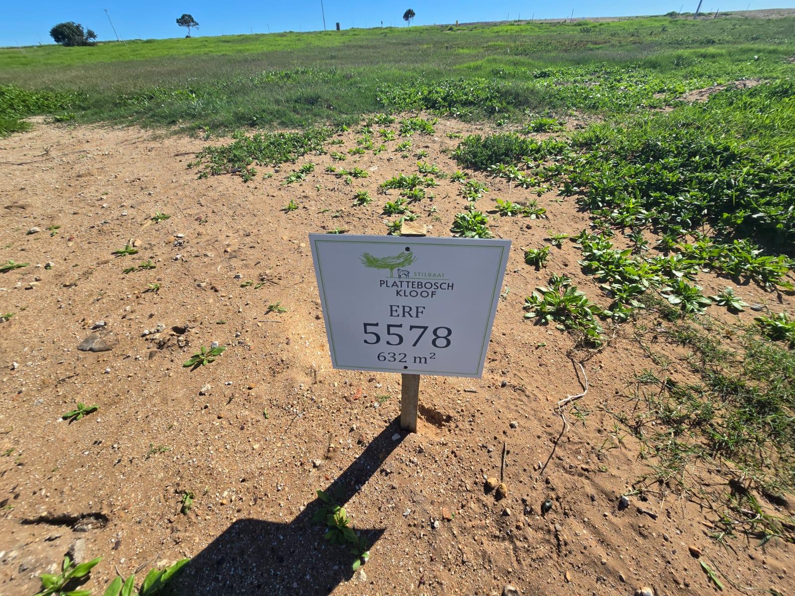 Image 4 of 6