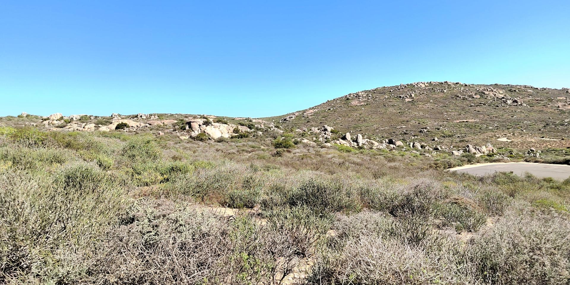 Image 2 of 6