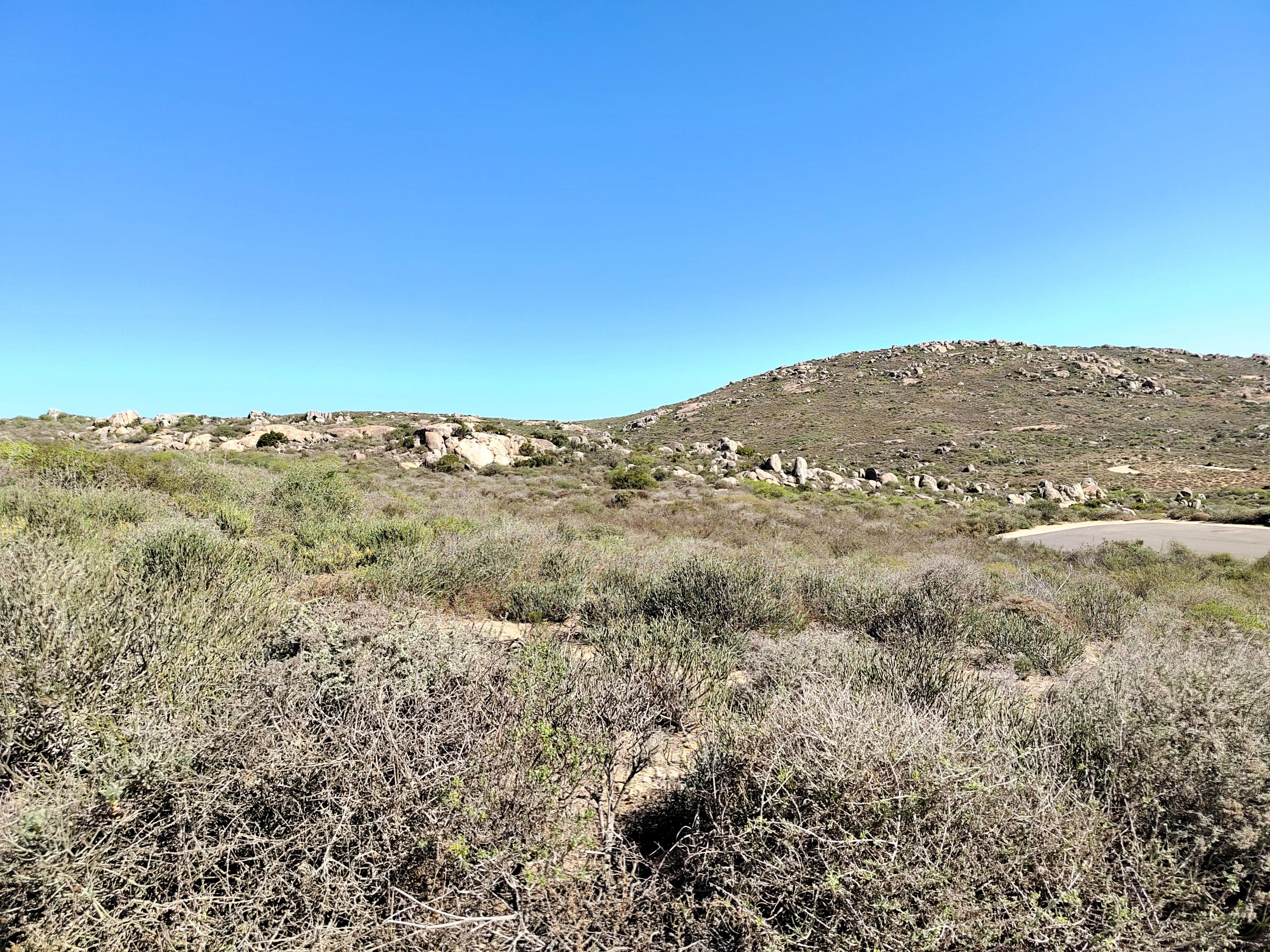 Image 2 of 6
