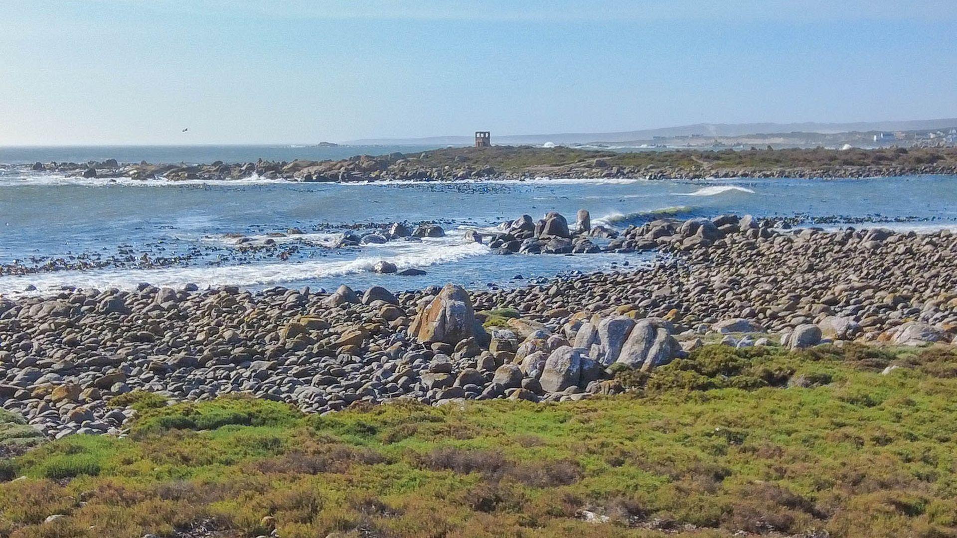 Image 4 of 6