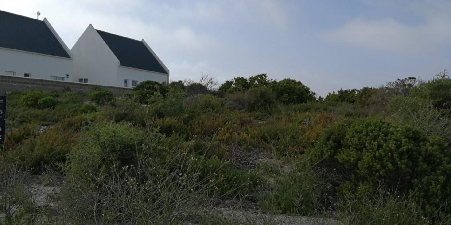 Image 3 of 6